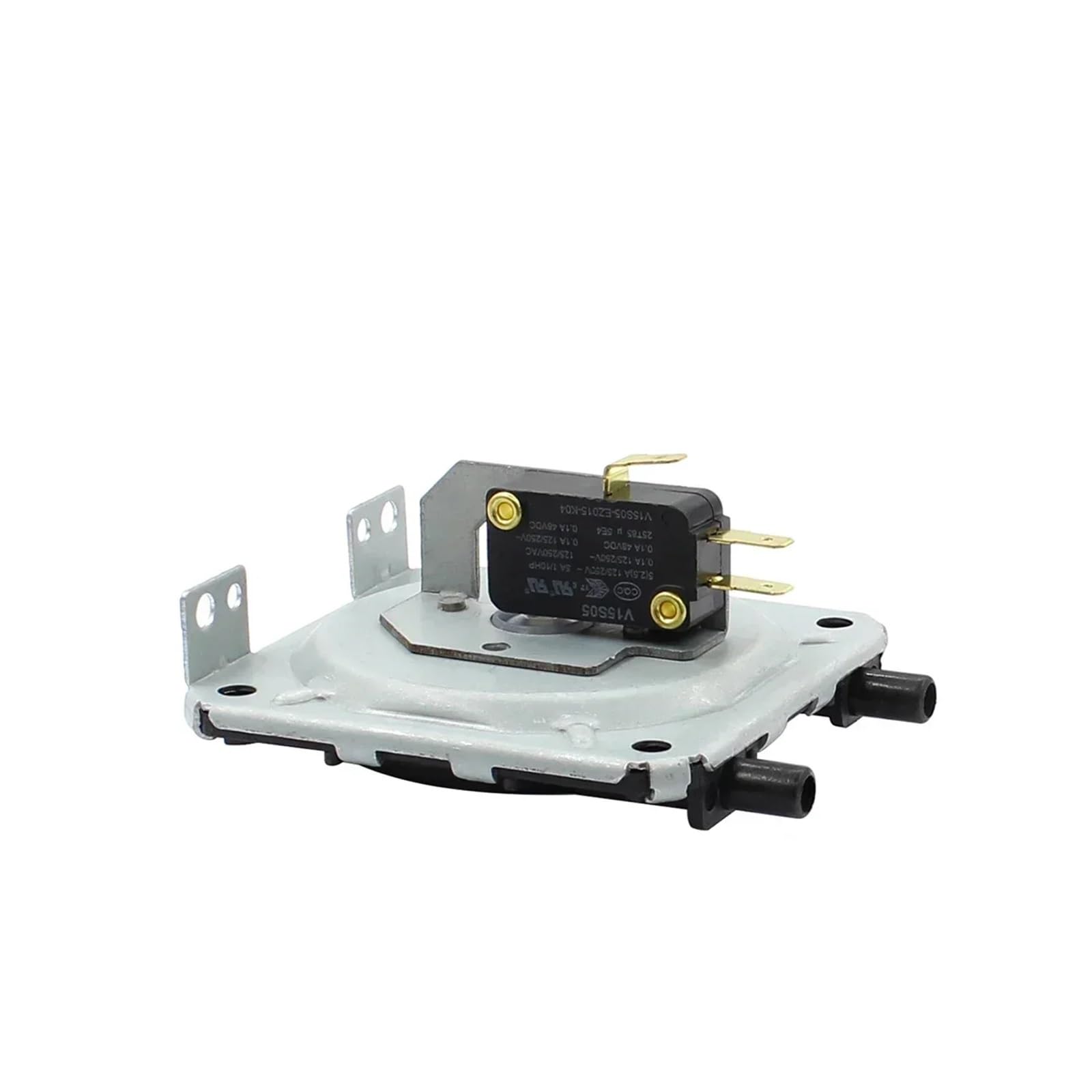 すいかさま専用 Amazon | 小玉西瓜種 FRマダーボール みかど協和の小玉スイカ